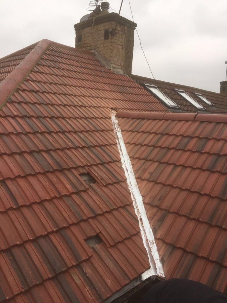 Home 7666db54 294f 47fa 819c 185e27ca7362